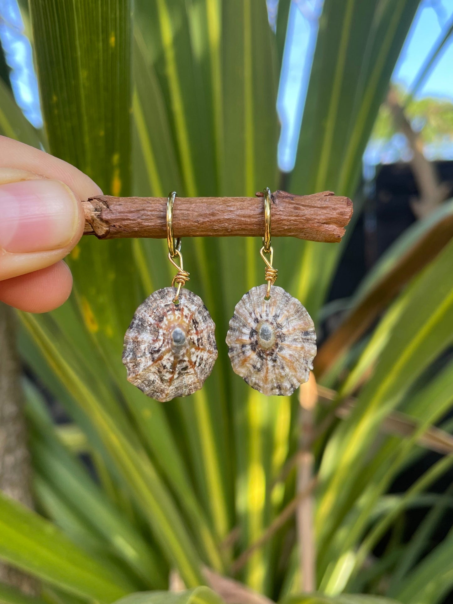 Limpet Charms