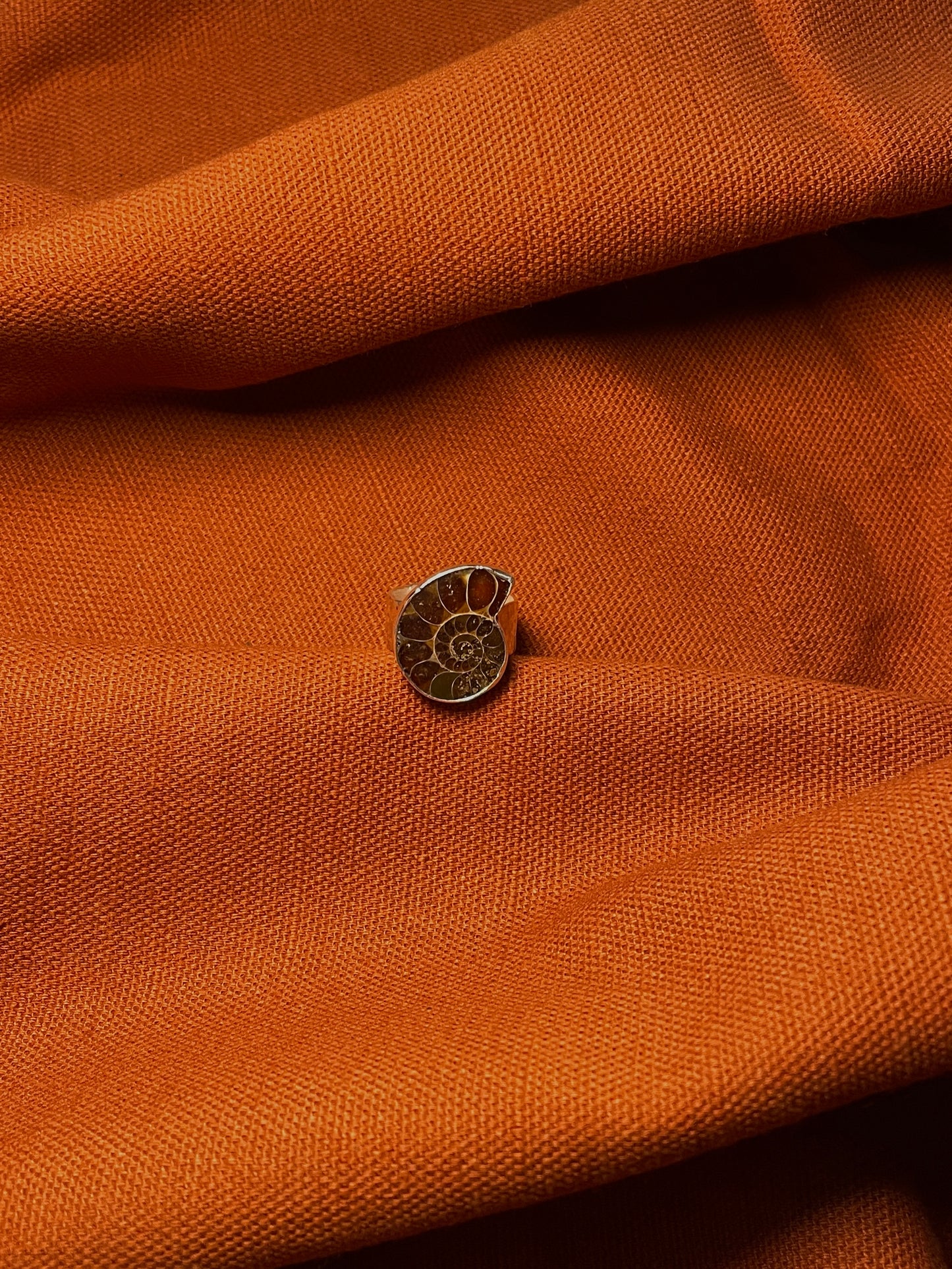 Hammered Ammonite Ring