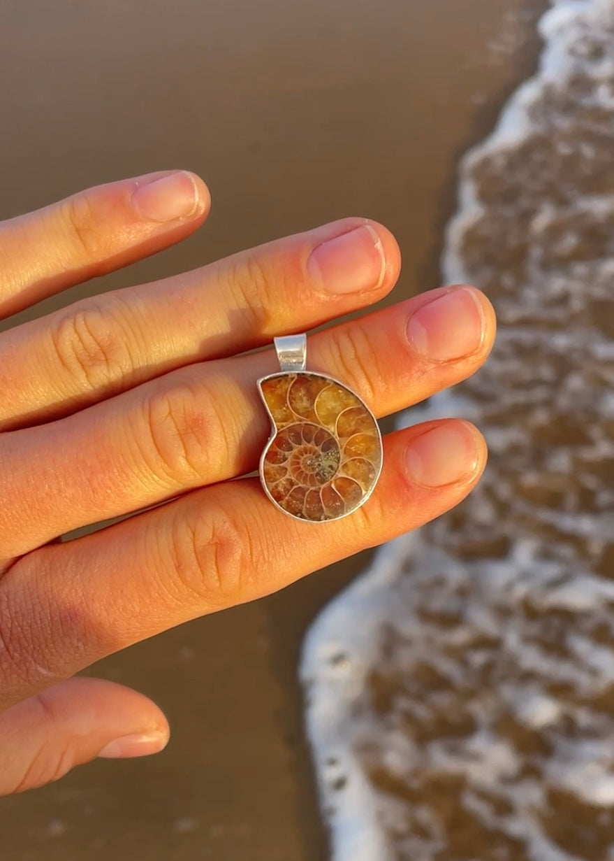 Ammonite Pendant