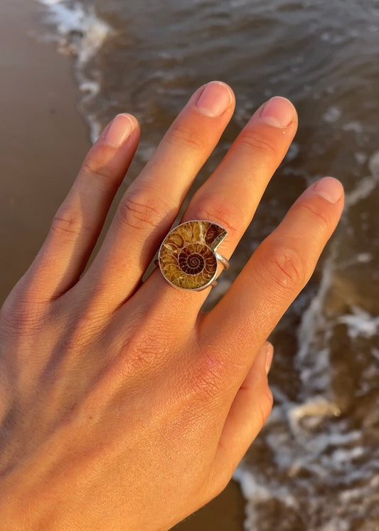 Double Banded Ammonite Ring