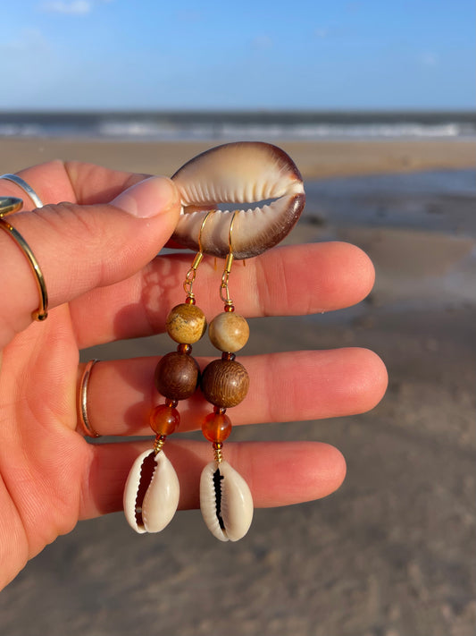 Natural Cowrie Earrings