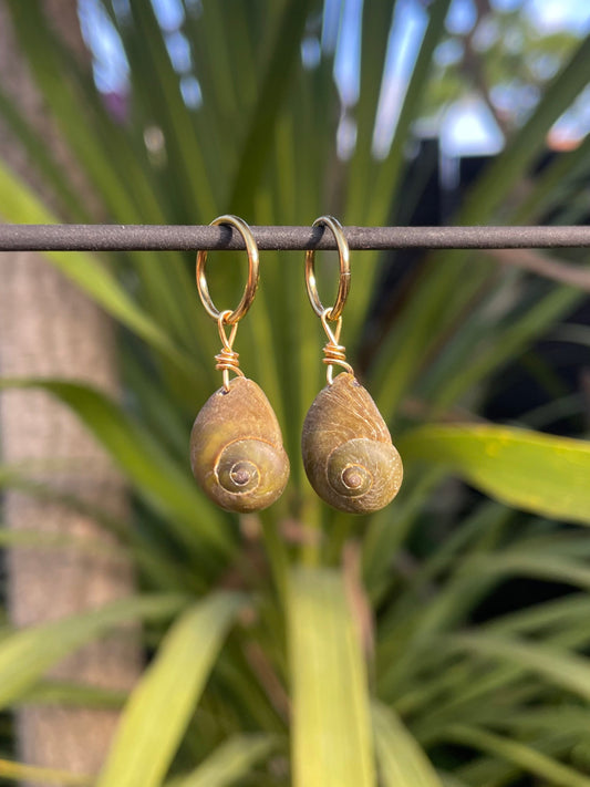 Periwinkle Charms