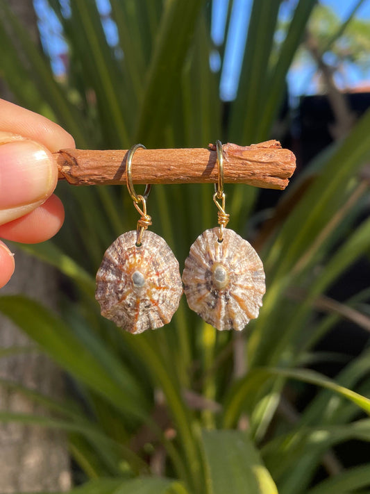 Limpet Charms