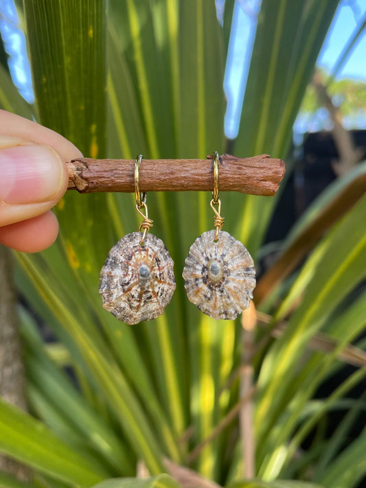Limpet Charms