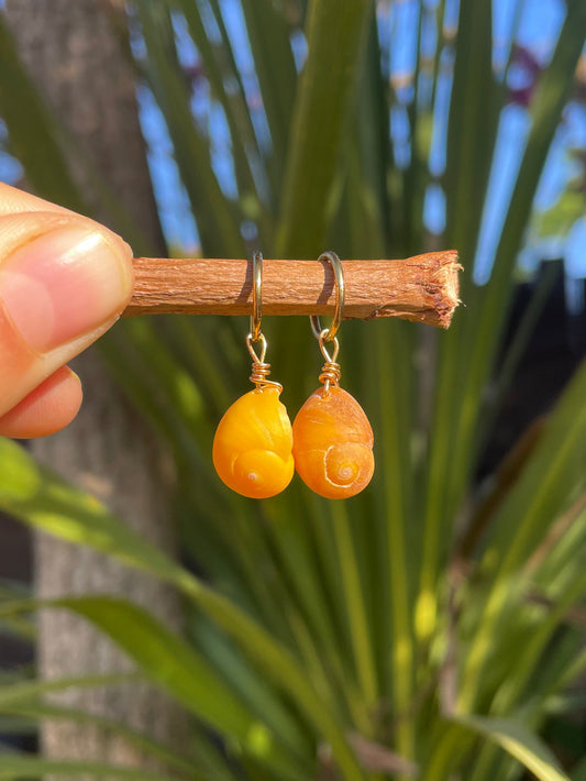 Periwinkle Charms