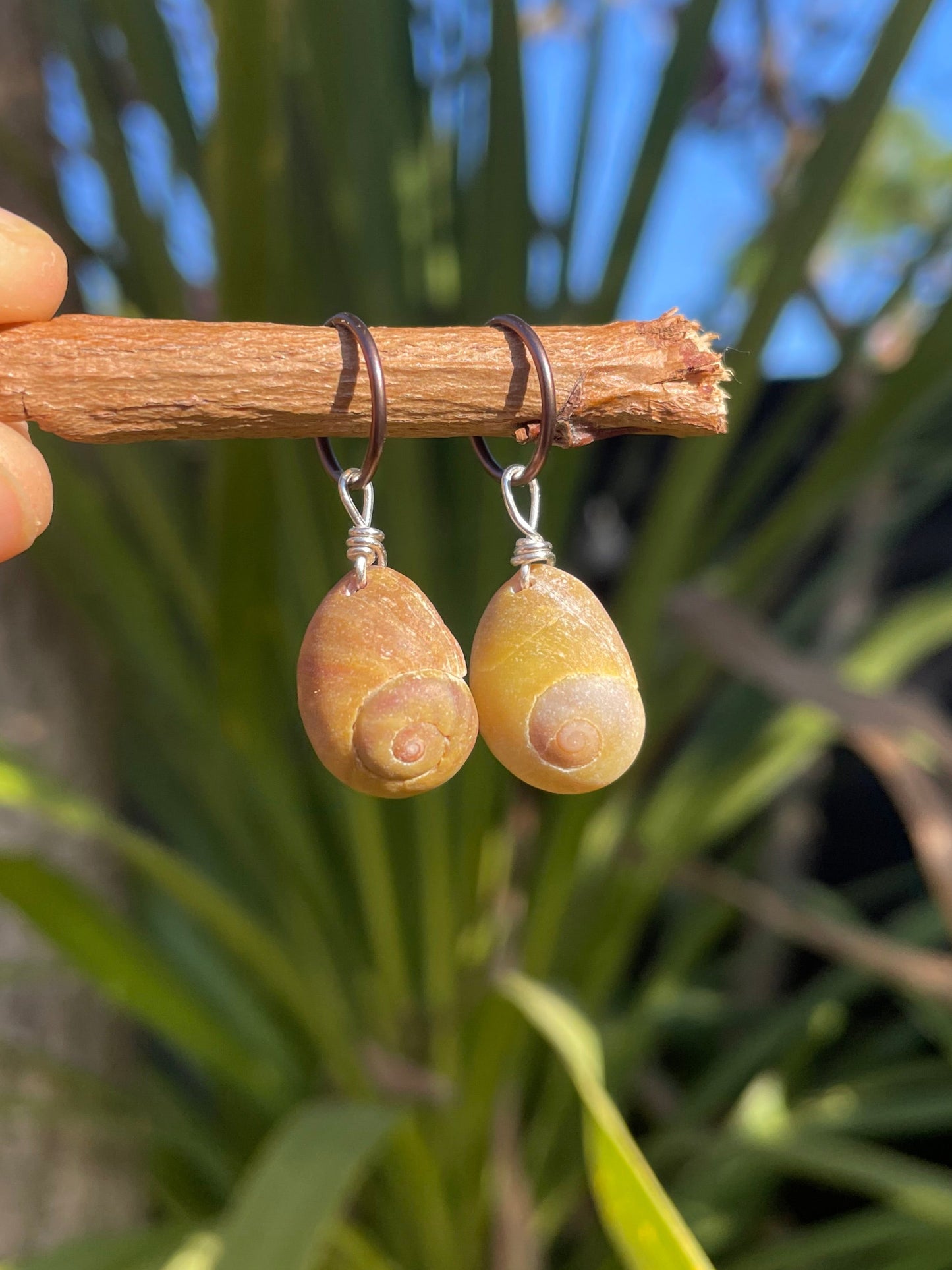 Periwinkle Charms