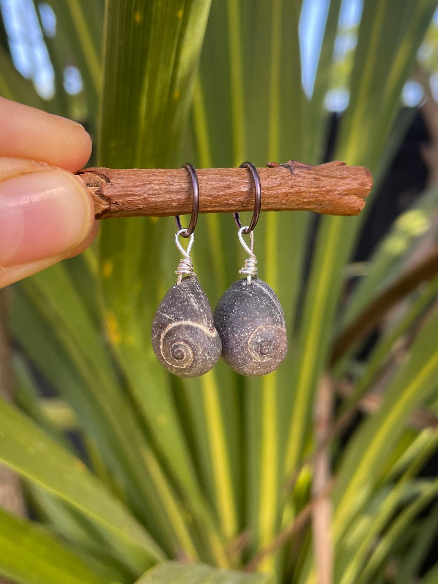 Periwinkle Charms